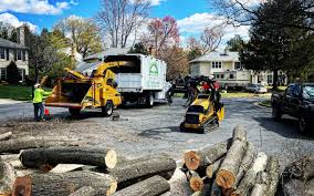 Best Leaf Removal  in Far Hills, NJ